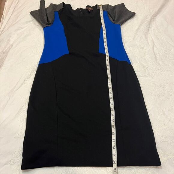 Dana Buchman Colored Blocked Panel Sheath Dress size 8 - Picture 5 of 8